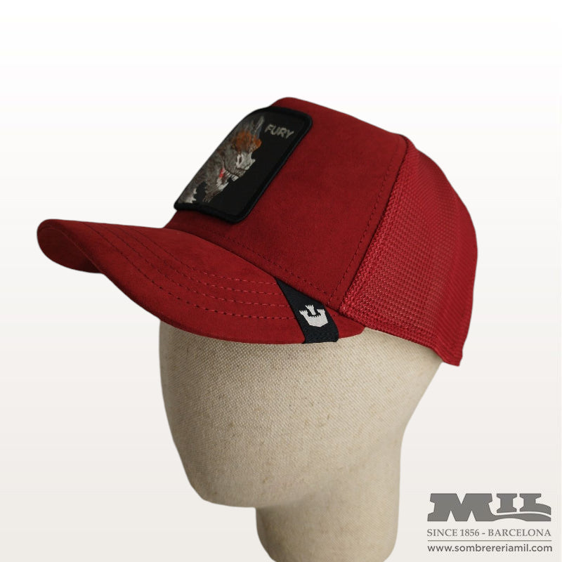 Gorra Sue Dragon de Goorin