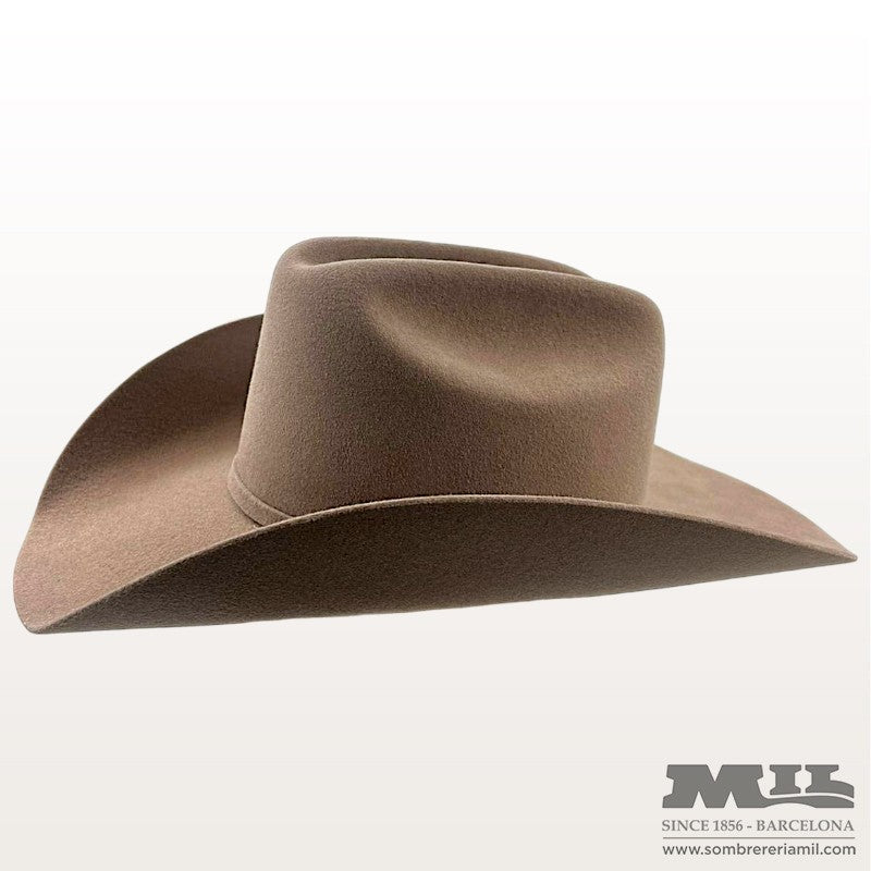 Western Lightning 4X | Bailey