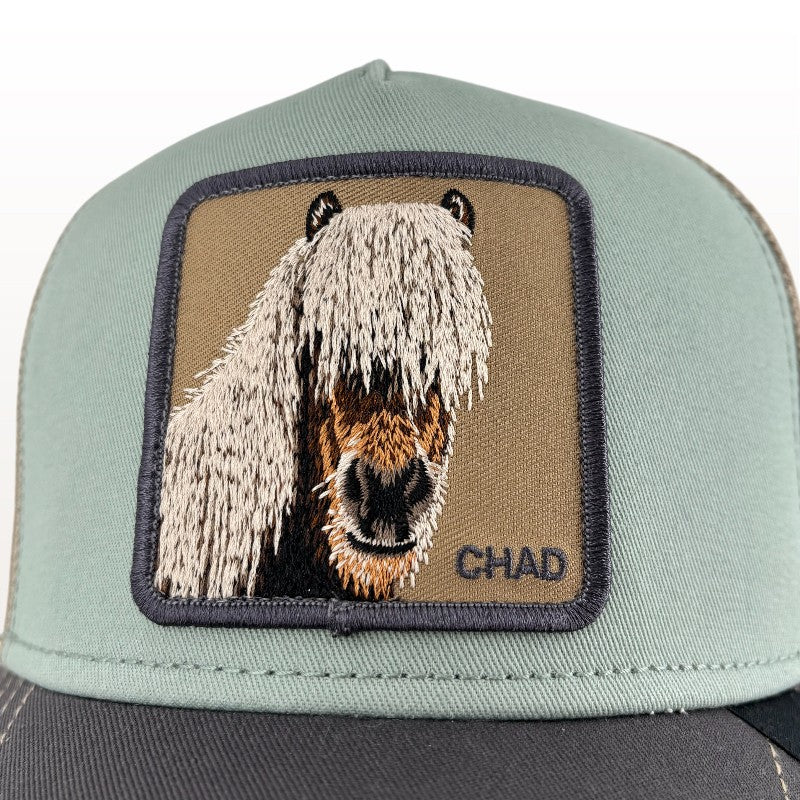 Gorra Tricolor Horse | Goorin Bros