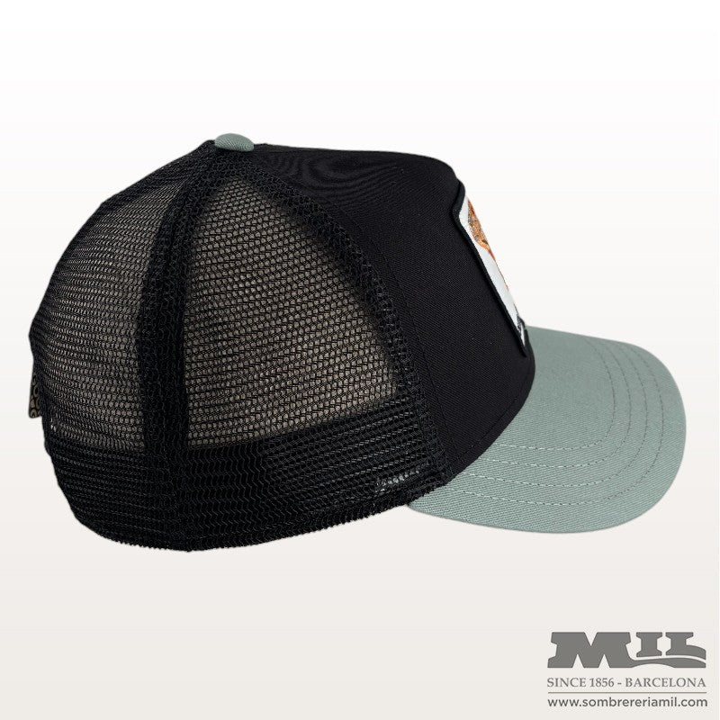 Gorra Outlaw Lizard | Goorin Bros