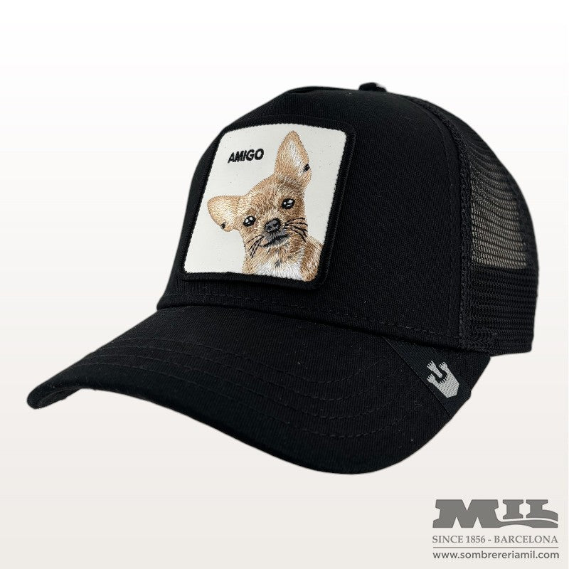 Gorra Amic | Goorin Bros