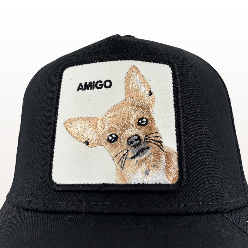 Gorra Amic | Goorin Bros
