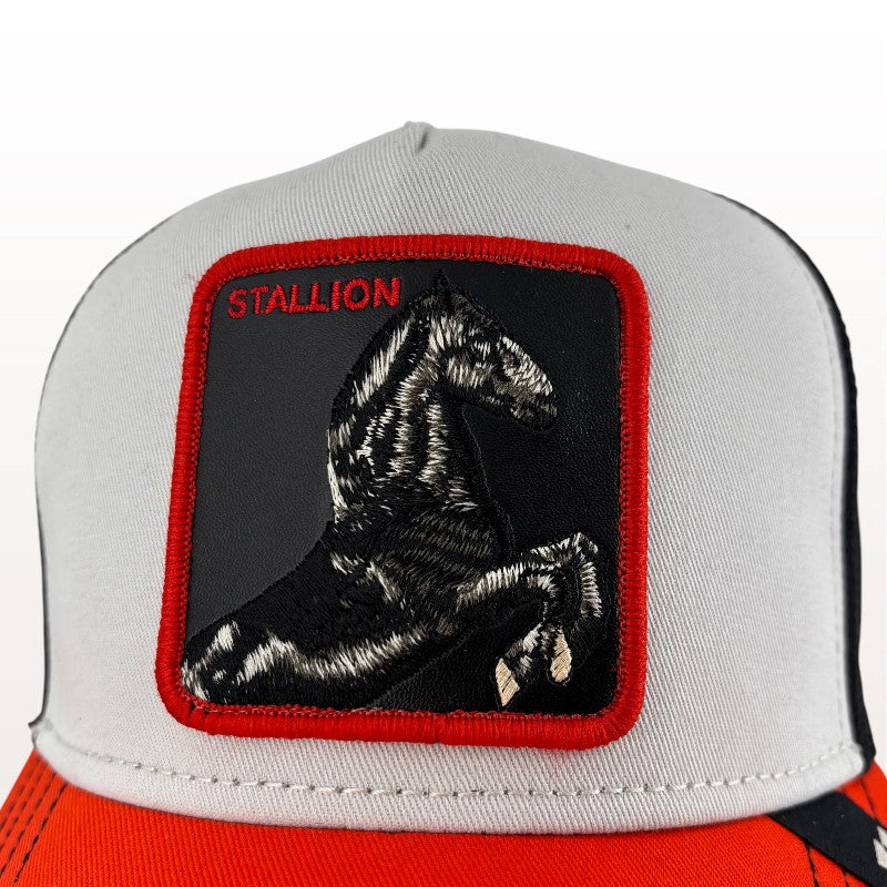 Gorra Tricolor Stallion | Goorin Bros