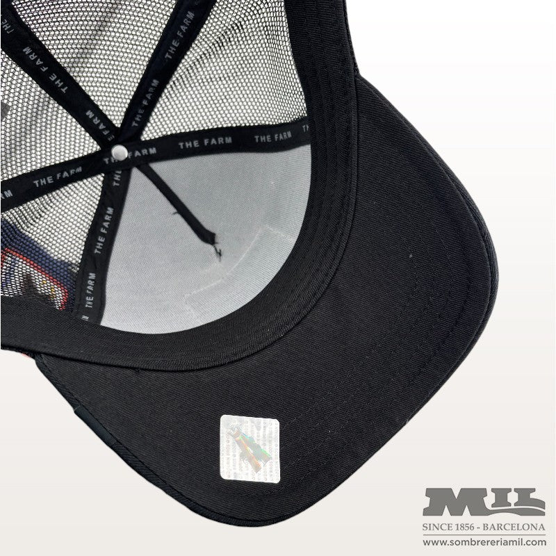 Gorra Amic | Goorin Bros