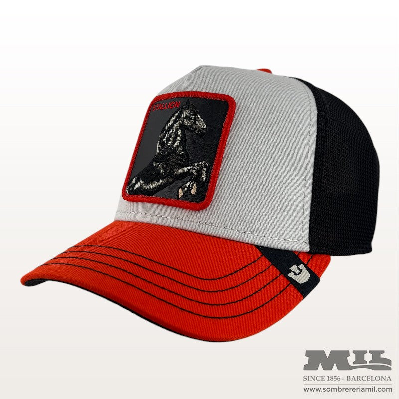 Gorra Tricolor Stallion | Goorin Bros