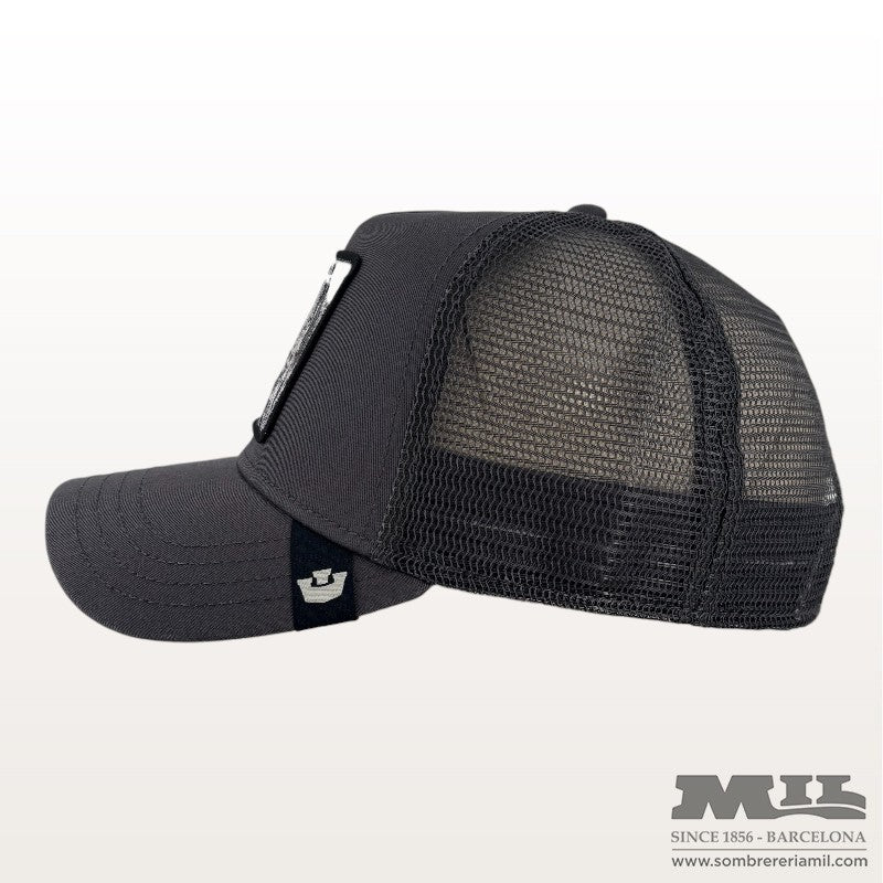 Gorra Silver Fox | Goorin Bros