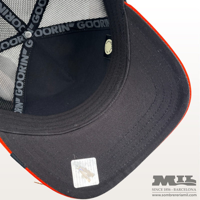 Gorra Tricolor Stallion | Goorin Bros