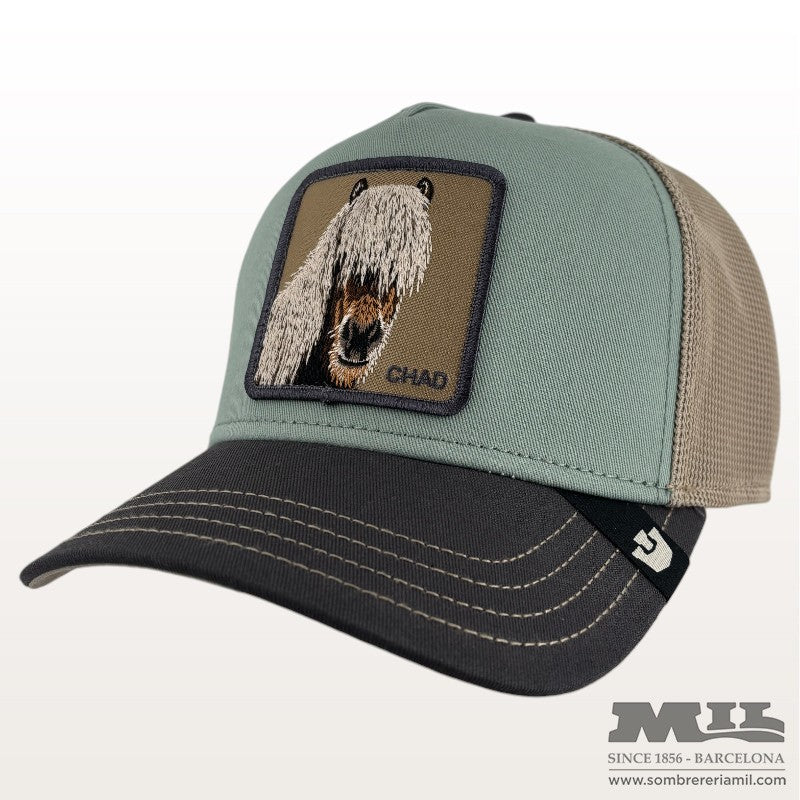Gorra Tricolor Horse | Goorin Bros