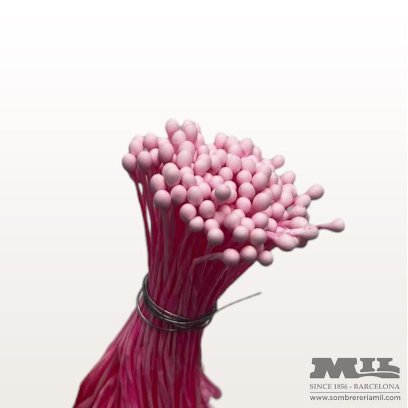 Pistil Rosat | Núria Arnau