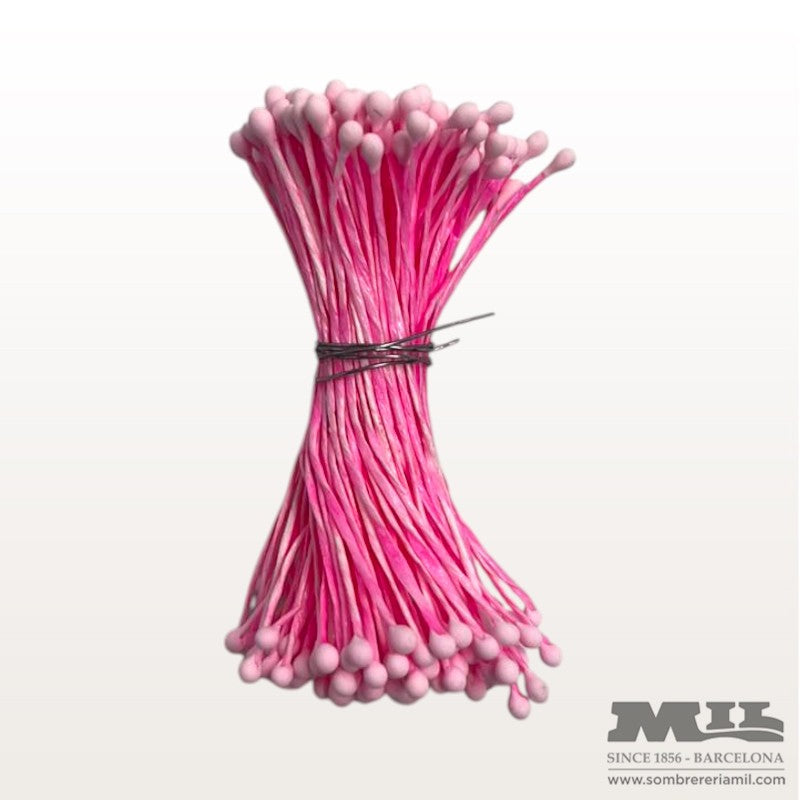 Pistil Rosat | Núria Arnau