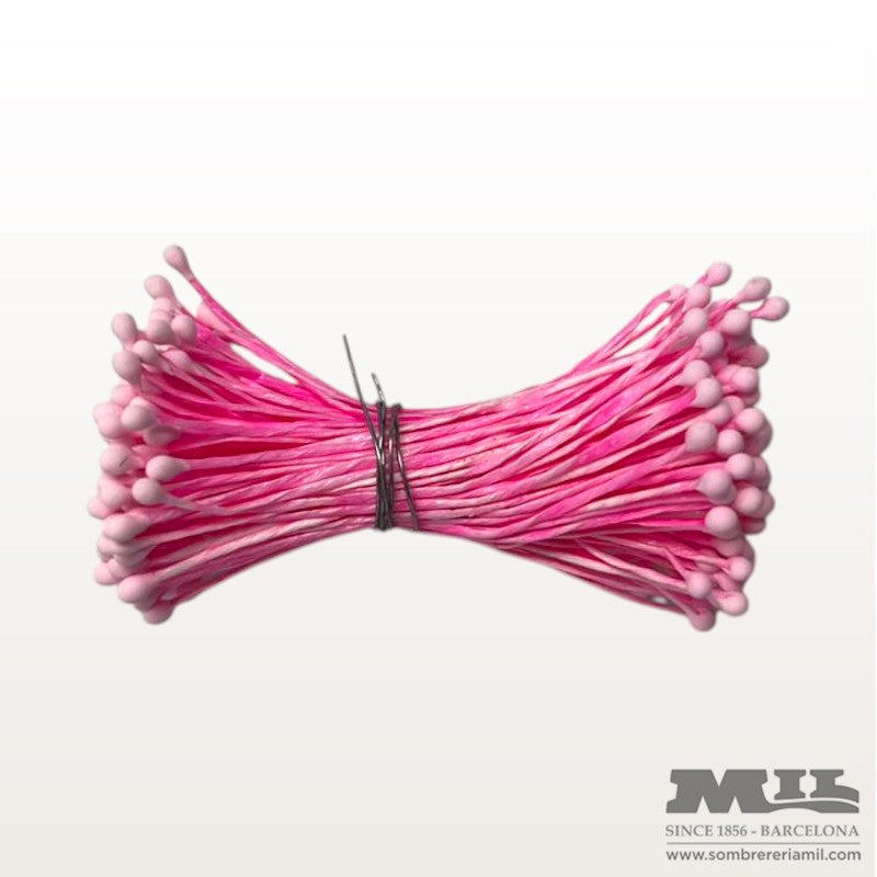 Pistil Rosat | Núria Arnau