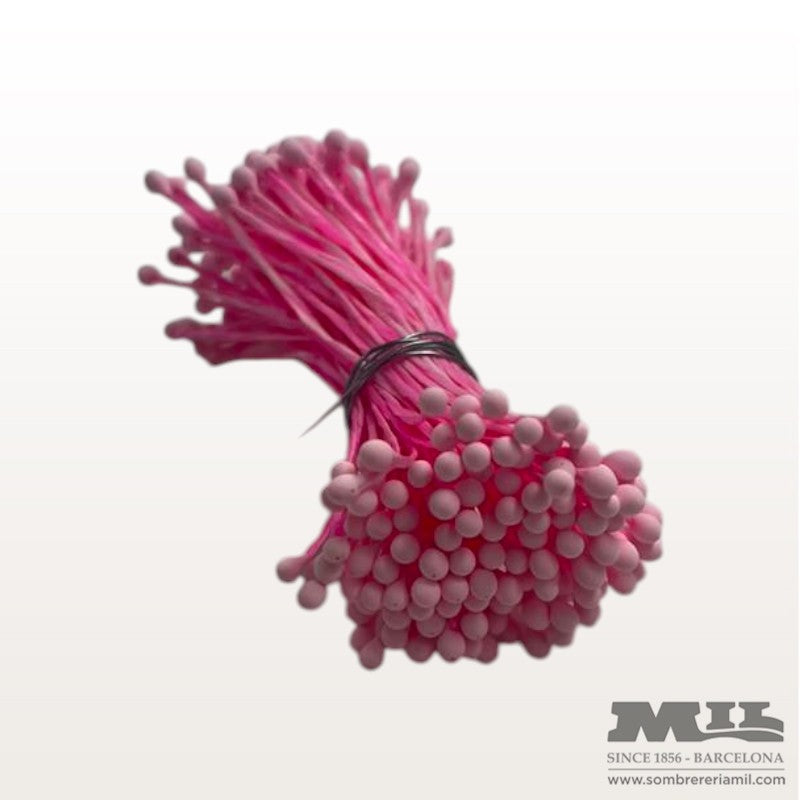 Pistil Rosat | Núria Arnau